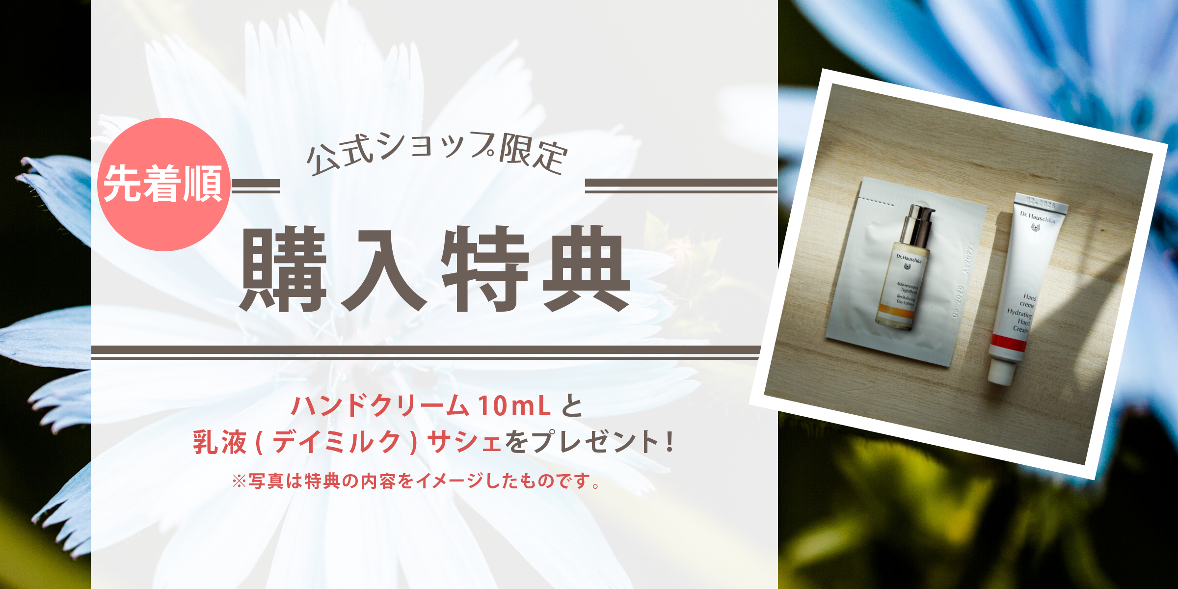 数量限定購入特典