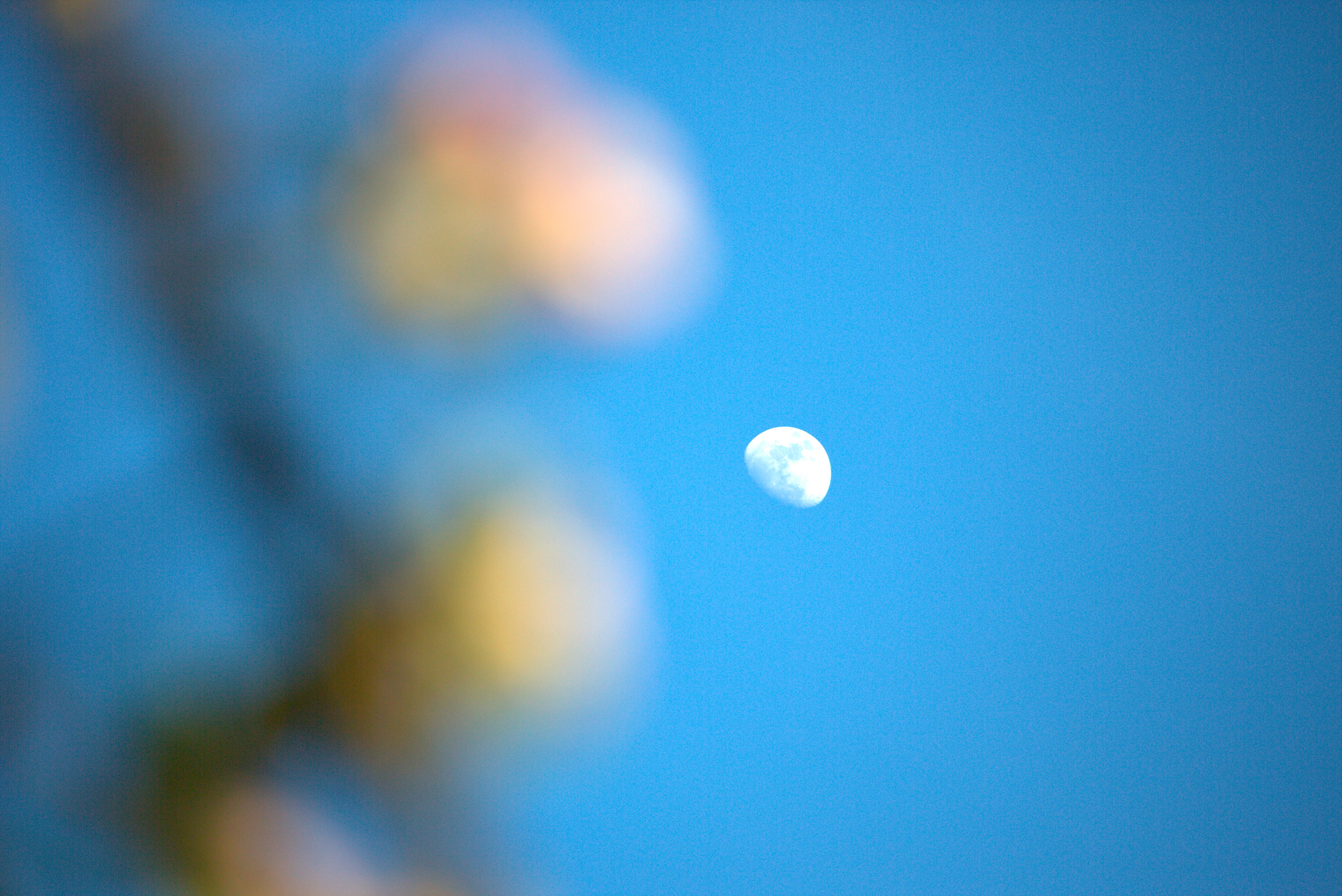 空と月