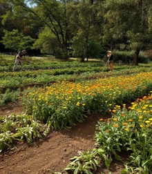 【Note更新】Dr. ハウシュカのすばらしさを紐解くコラム・第2回