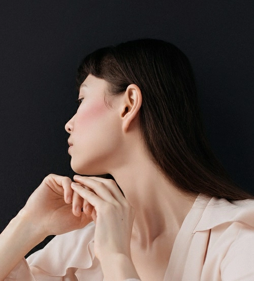 【新発売】ブラッシュ＆ハイライター　送料無料キャンペーン