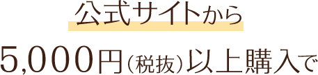 公式サイトから5000円以上購入で